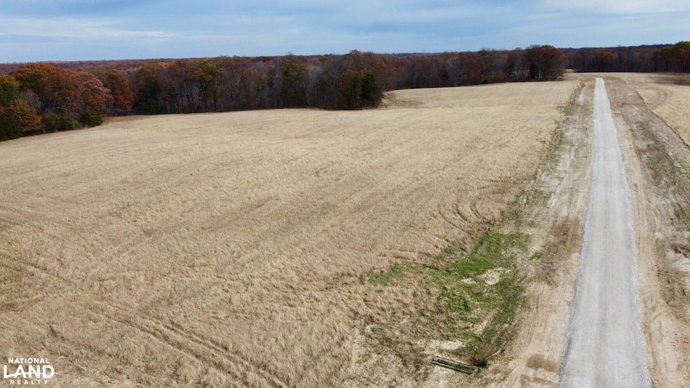 0000 Polston Ln, Hickory Grove Township, MO 63357 - photo 1