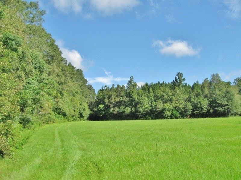 000 Sims Thornhill Rd, Tylertown, MS 39667 - photo 1