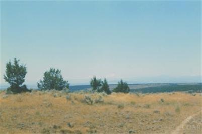 Primary Photo