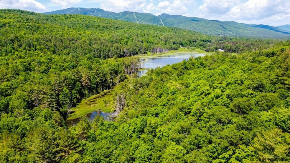 00 Austin Pond Rd, Johnsburg, NY 12853 - photo 1