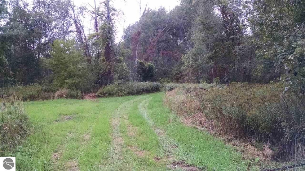 0 N Van Horn Rd, Au Gres, MI 48703 - photo 1
