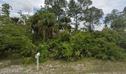 749 Roma Ave S, Lehigh Acres, FL 33974 - photo 1