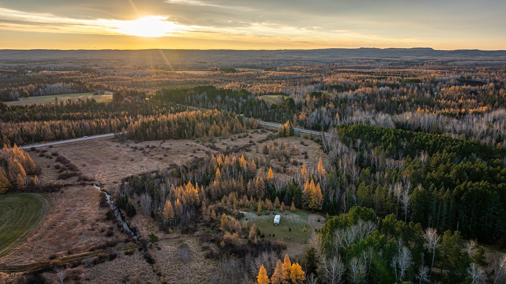 TBD Hwy 21, Babbitt, MN 55706 - photo 1