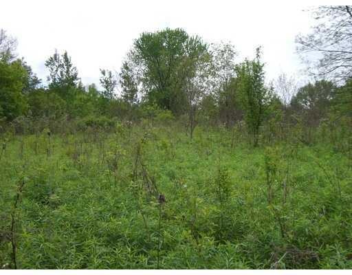 Land/Lot.