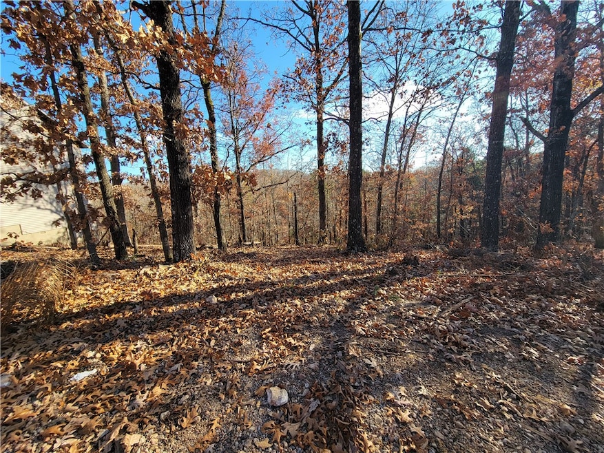 Lot 49 Shefford Ln, Bella Vista, AR 72714 - photo 1