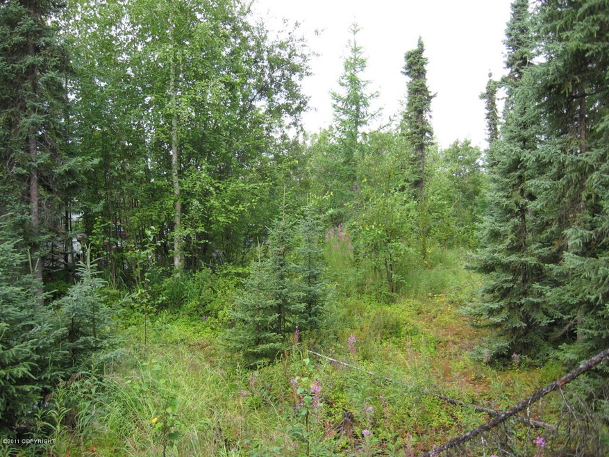 Property from cabin