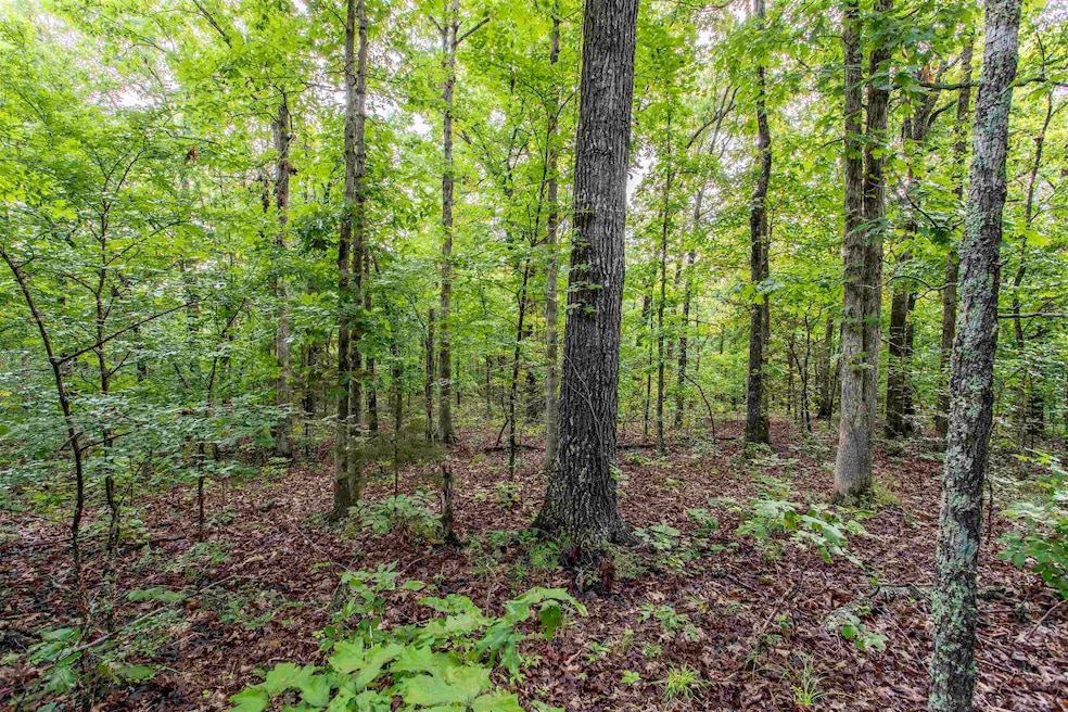 00 Red Fox Rd, Hardy, AR 72542 - photo 1