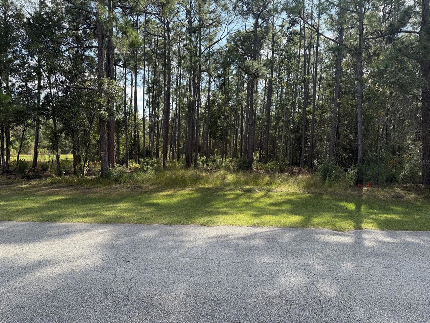 0 Limpkin Ln unit MFRP4937119, Frostproof, FL 33843 - photo 1