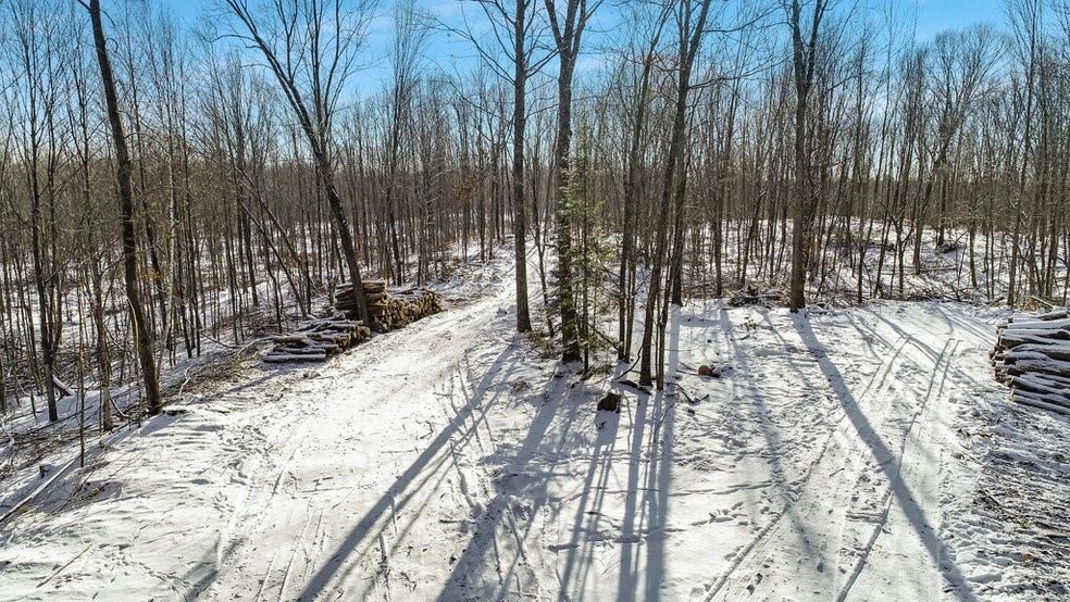 0 Pondell Rd unit 1564447, Weyerhaeuser, WI 54895 - photo 1