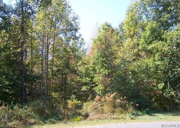 3065 Par Three Place, Louisa, VA 23093 - photo 1