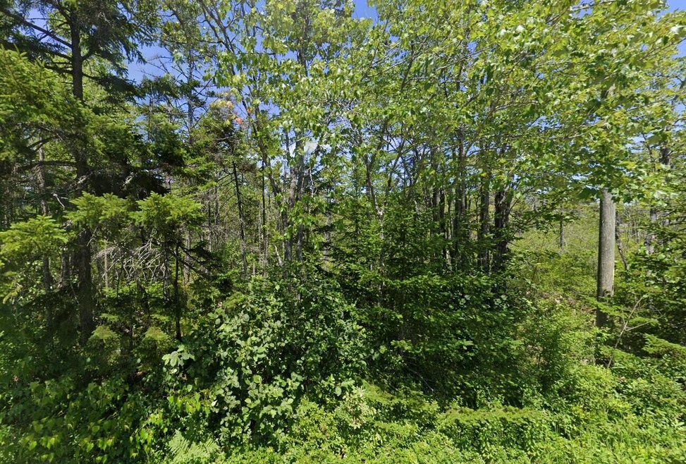 1257 street view