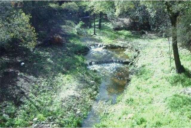 7401 Scenic Brook Dr, Austin, TX 78736 - photo 1