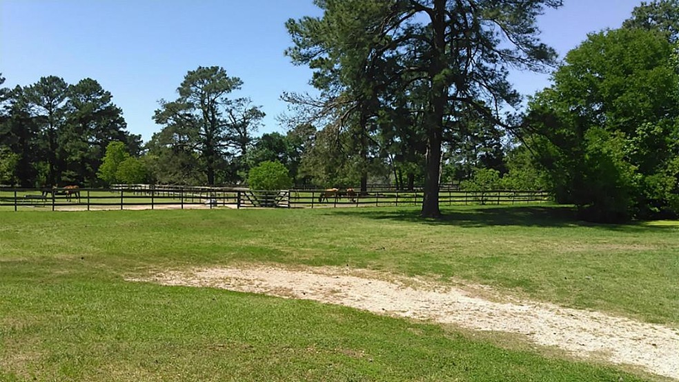 23813 Murrell Rd, Hockley, TX 77447 - photo 1