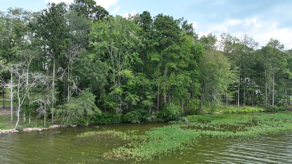 0 Gibson Cove Dr unit 24700177, Ashville, AL 35953 - photo 1