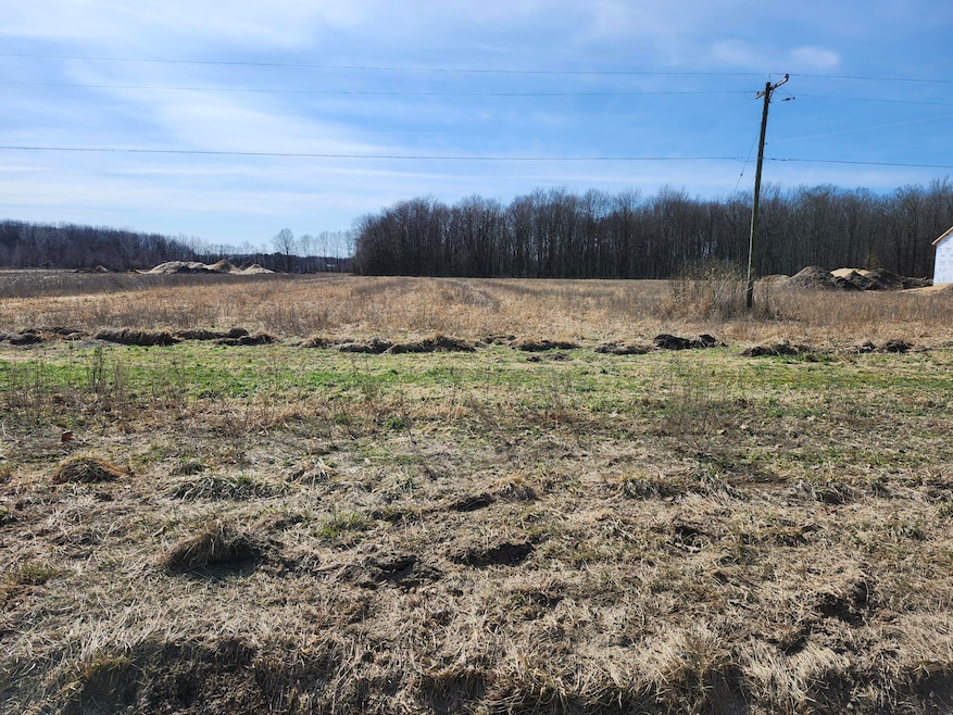 road view of the property