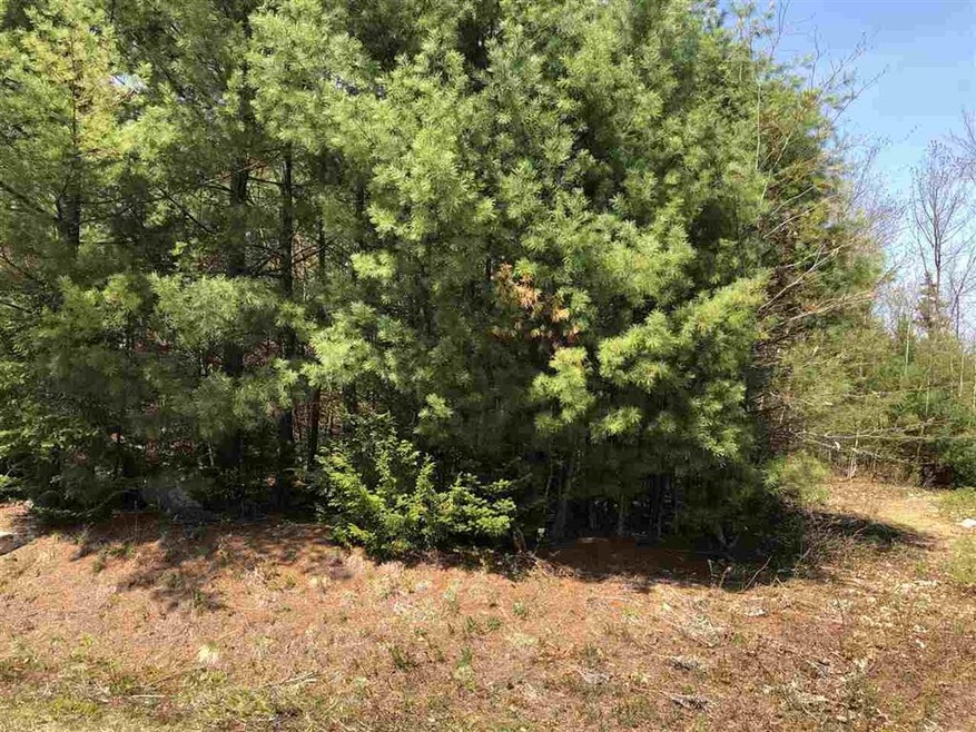 23 Adams Way, Middleton, NH 03887 - photo 1