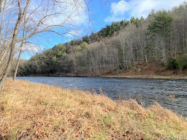 961 Pennsylvania 590, Lackawaxen, PA 18435 - photo 1