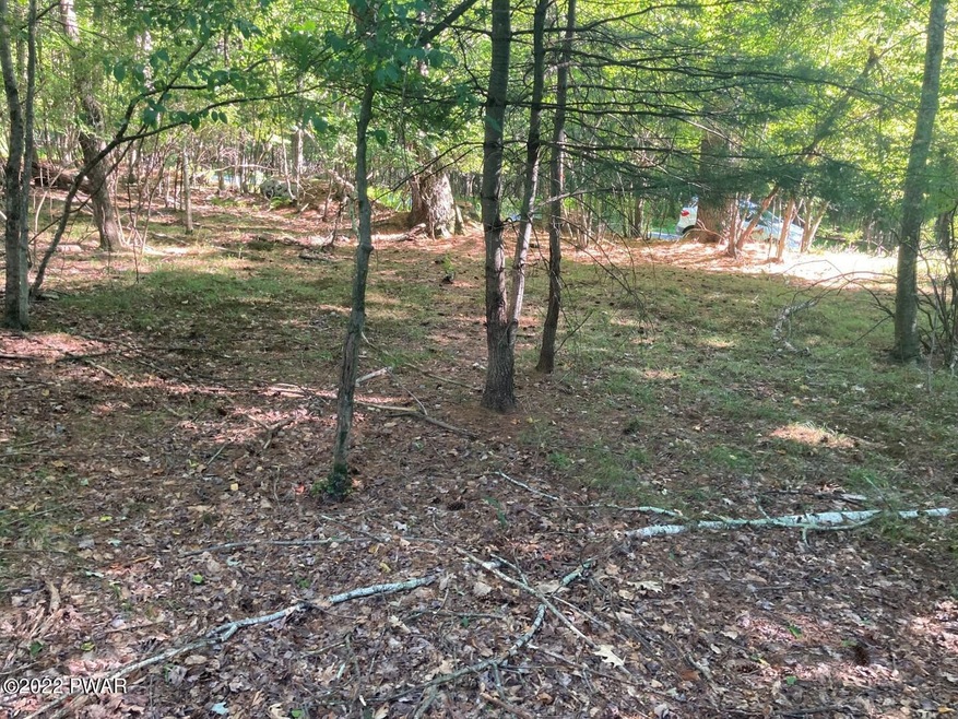 Lot 176 Tink Wig Dr, Lackawaxen Township, PA 18428 - photo 1