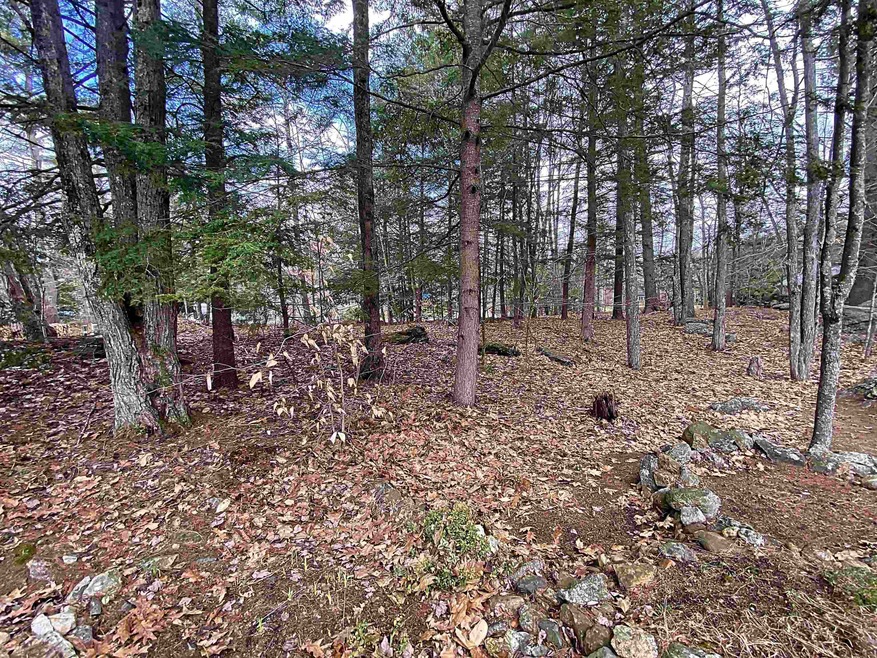 Lot 49 Windsor Way Poplar Cir unit 49, Barnstead, NH 03225 - photo 1