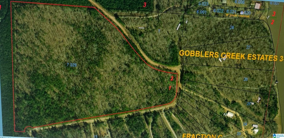 0 Arrowhead Dr unit 21437906, Delta, AL 36258 - photo 1