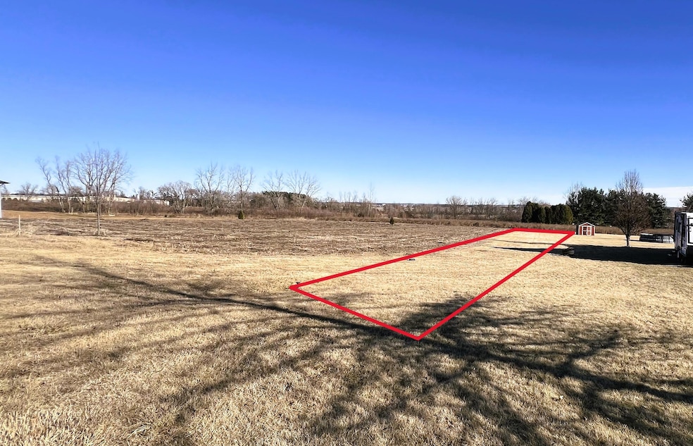 Lot 29 -1