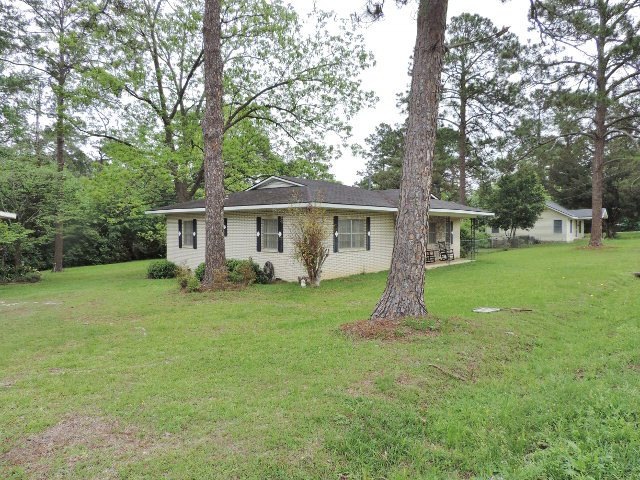 Main View