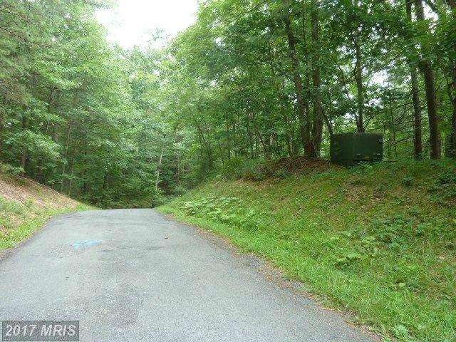 0 Lee Rd unit 1002574514, Basye, VA 22810 - photo 1