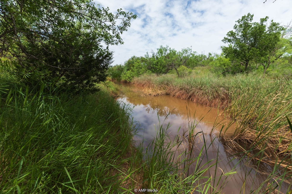 Fm1263, Aspermont, TX 79502 - photo 1