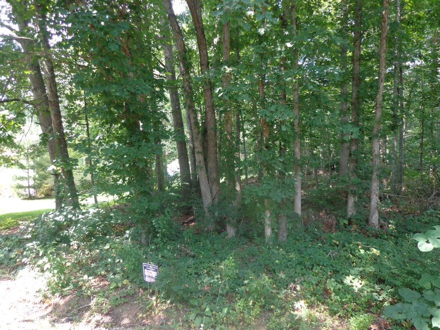 170 Dovenshire Dr, Crossville, TN 38558 - photo 1