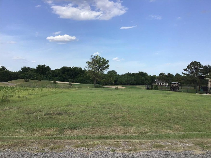 22072 Shady Grove Ct, Whitney, TX 76692 - photo 1