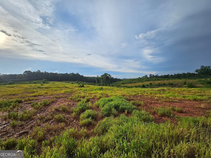 TRACT 2 THORNTO Thornton Dr, Elberton, GA 30635 - photo 1