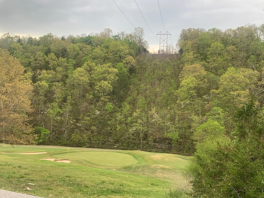 View from Lot 27