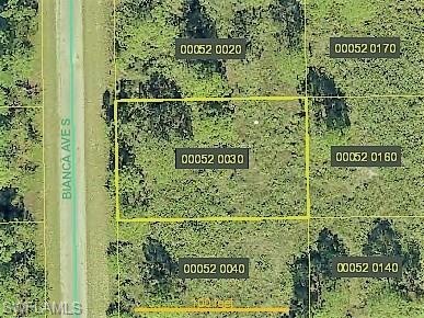 711 Bianca, Lehigh Acres, FL 33974 - photo 1