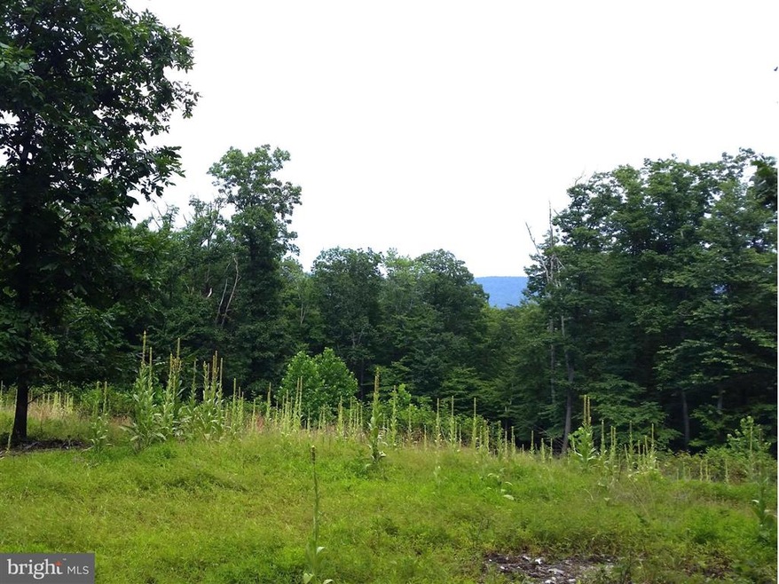 0 Appalachian Trail Rd, Blue Ridge, VA - photo 1