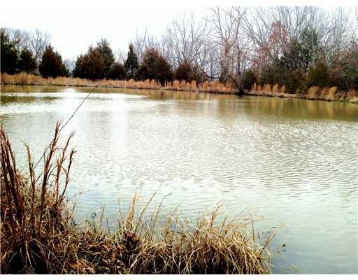 16759 Bethlehem Rd, West Fork, AR 72774 - photo 1