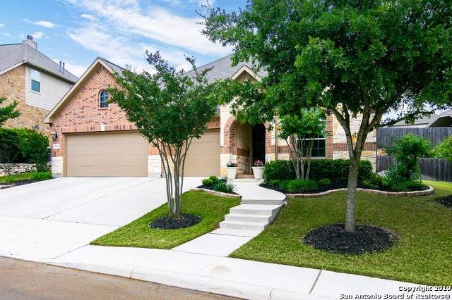 3839 Ox-Eye Daisy, San Antonio, TX 78261 - photo 1