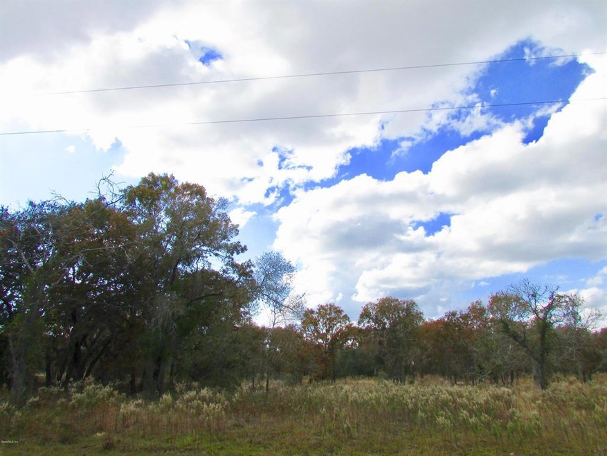 0 SW Marigold Ct unit MFROM528013, Dunnellon, FL 34431 - photo 1