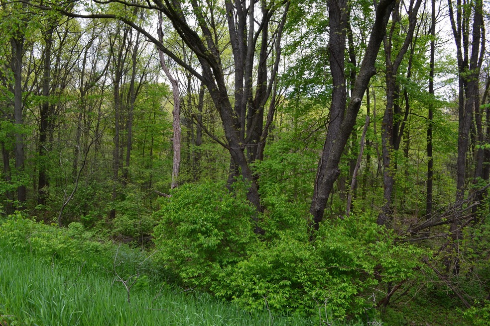 DSC_0010
