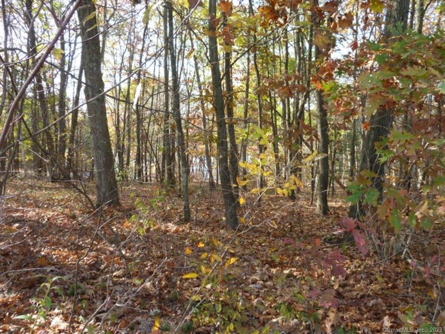 11 Pembroke Hill Rd, Wolcott, CT 06716 - photo 1