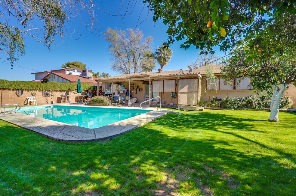 Gorgeous backyard