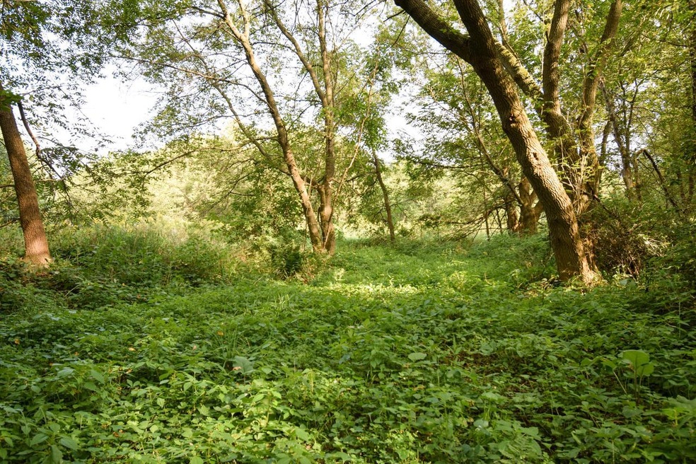 Trail to Building Site