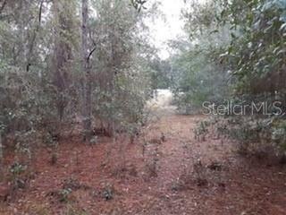 0 SW Sunnydale St, Dunnellon, FL 34431 - photo 1