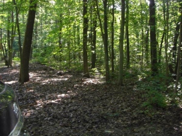 2 Youngren Rd, Chikaming Township, MI - photo 1