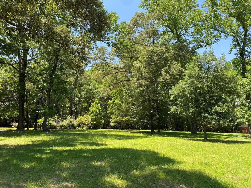 719 Placid Lake Ln, Magnolia, TX 77354 - photo 1