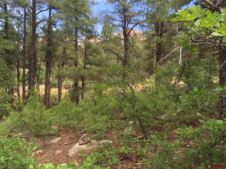 0 Twin Buttes Ave unit 723535, Durango, CO 81301 - photo 1