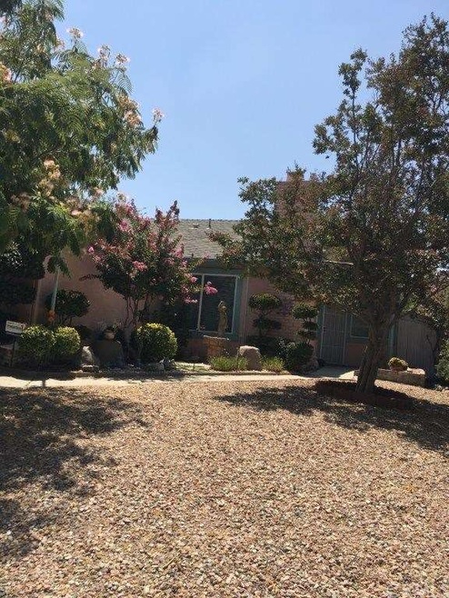 Low maintenance front yard 