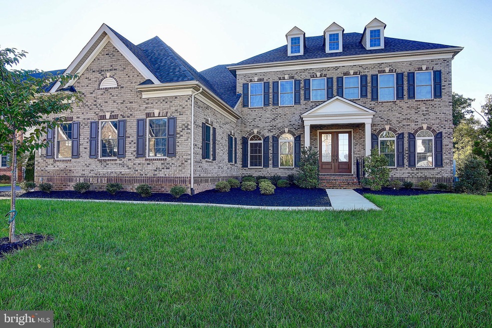 41615 Revival Dr, Ashburn, VA 20148 - photo 1