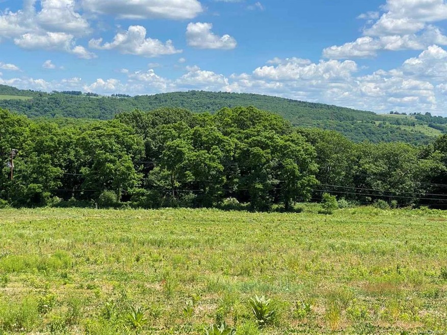 0 Bean River Rd unit ONEHM392646, Pine Plains, NY 12567 - photo 1