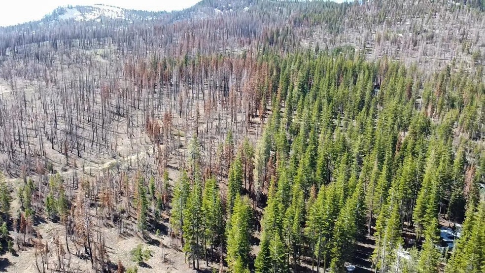 00 Usfs Road 42 N 16