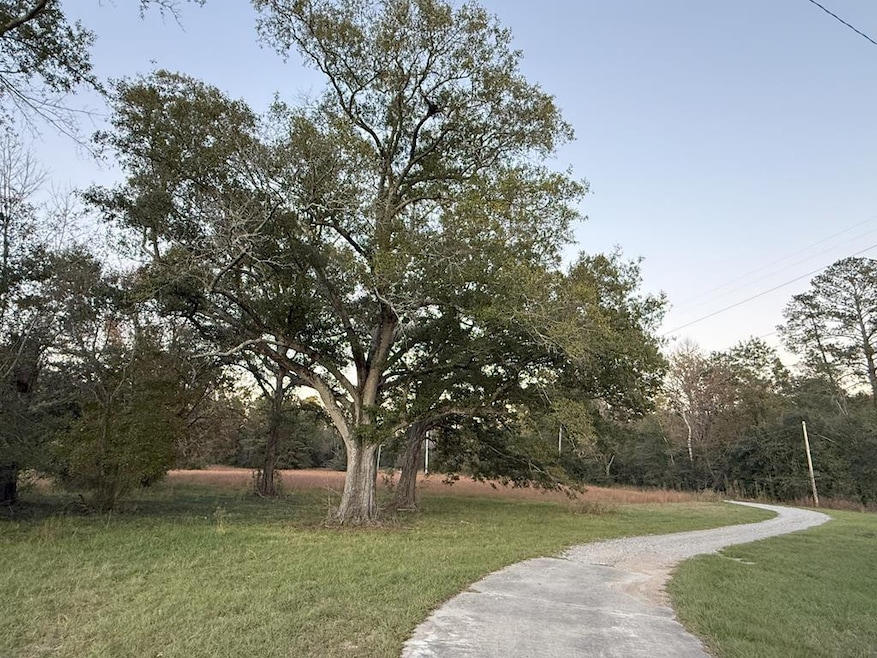 225 Frost Ln, Bude, MS 39630 - photo 1